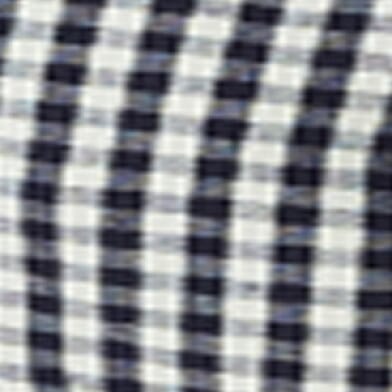 Mood Indigo Gingham