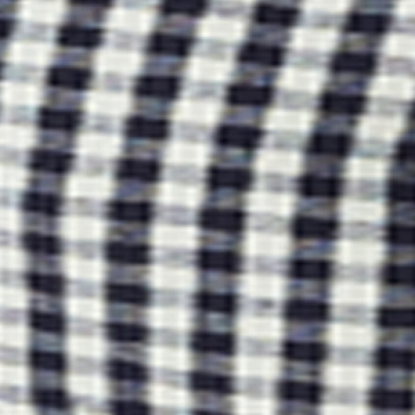Mood Indigo Gingham