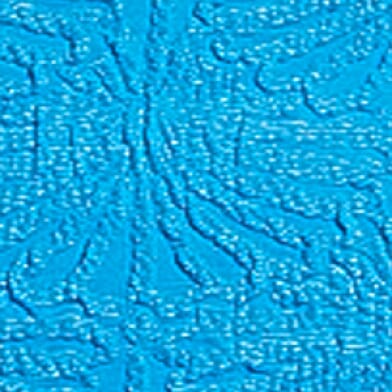 Hawaiian Ocean