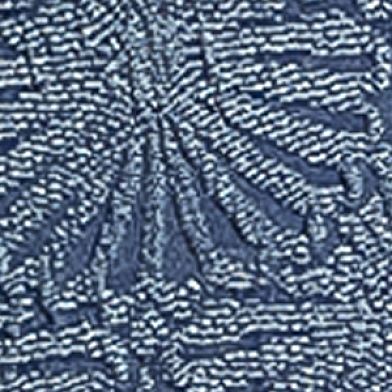 Bl Motif