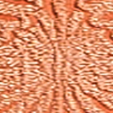 Cinnamon Stick
