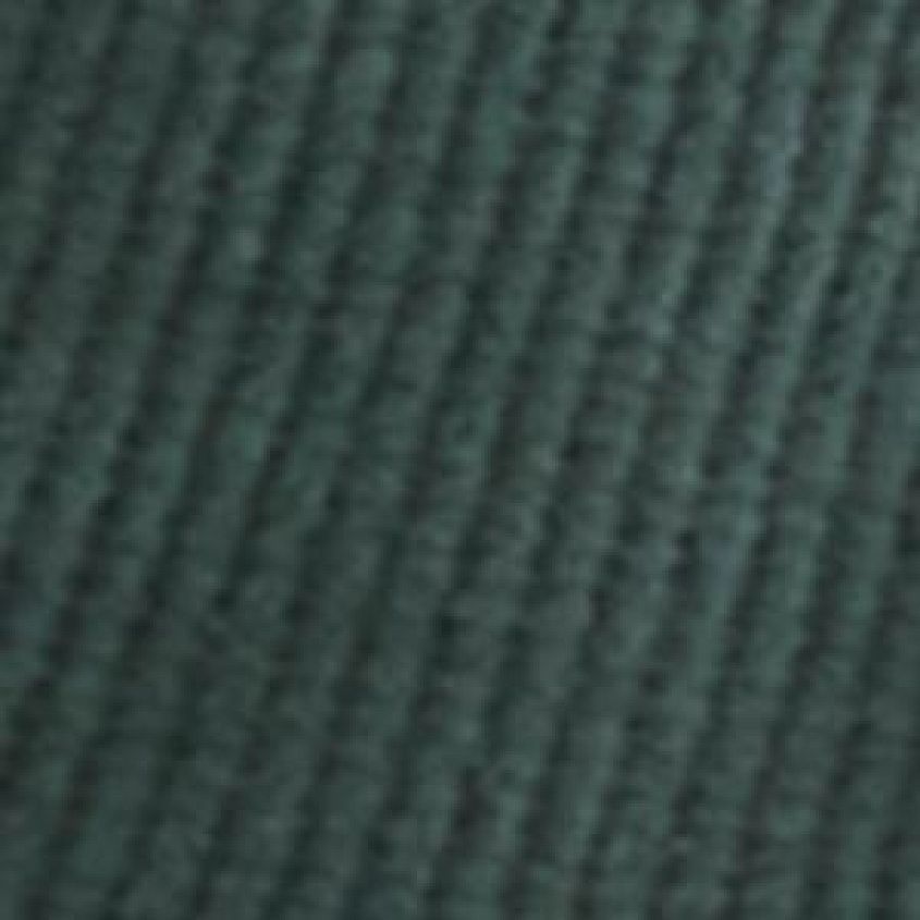 Forest Pine