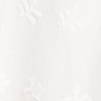 Clean Ivory