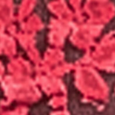 Zinfandel Combo