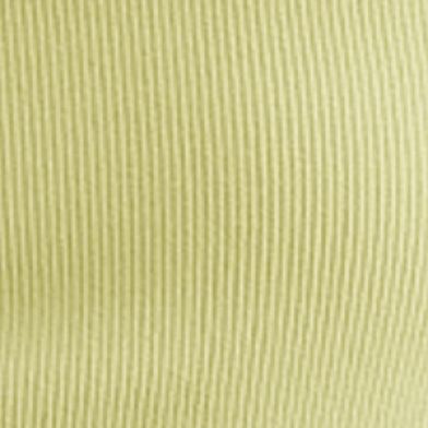 Palm Leaf