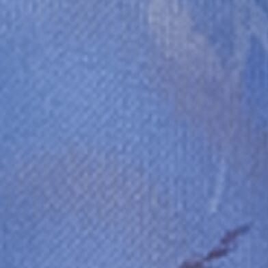 Blue Bird Combo