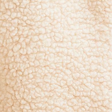Sandshell