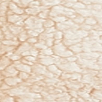 Sandshell