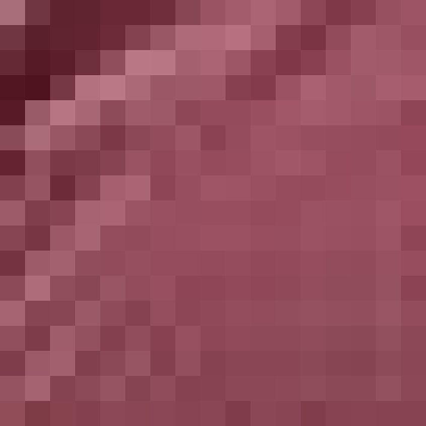 Burgundy Heather