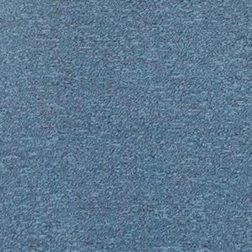 Blue Fog Heahter