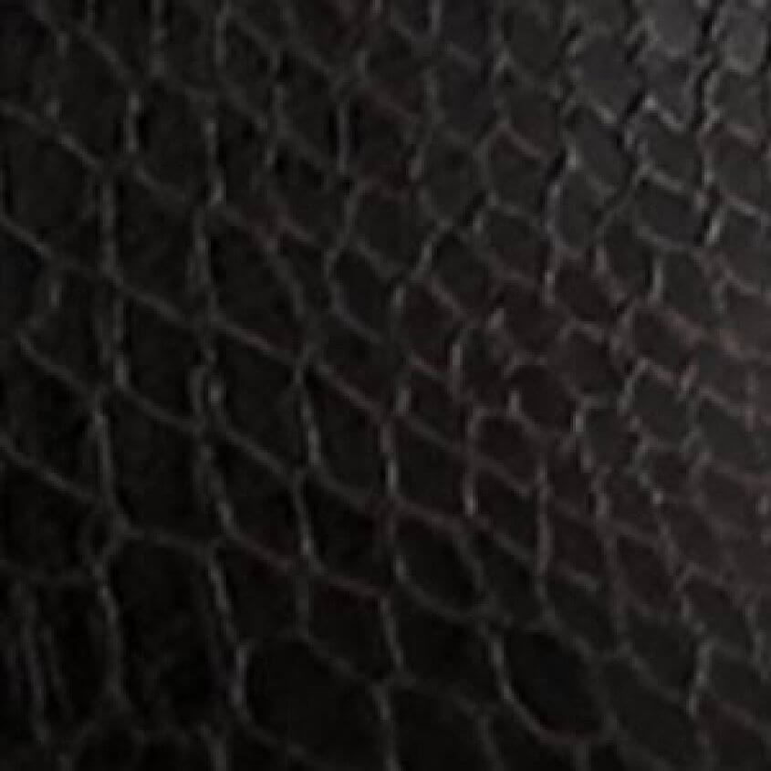 Black Snake