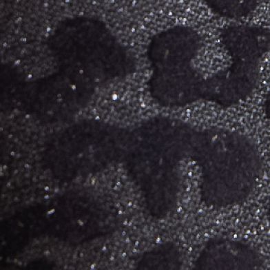 Black Leopard