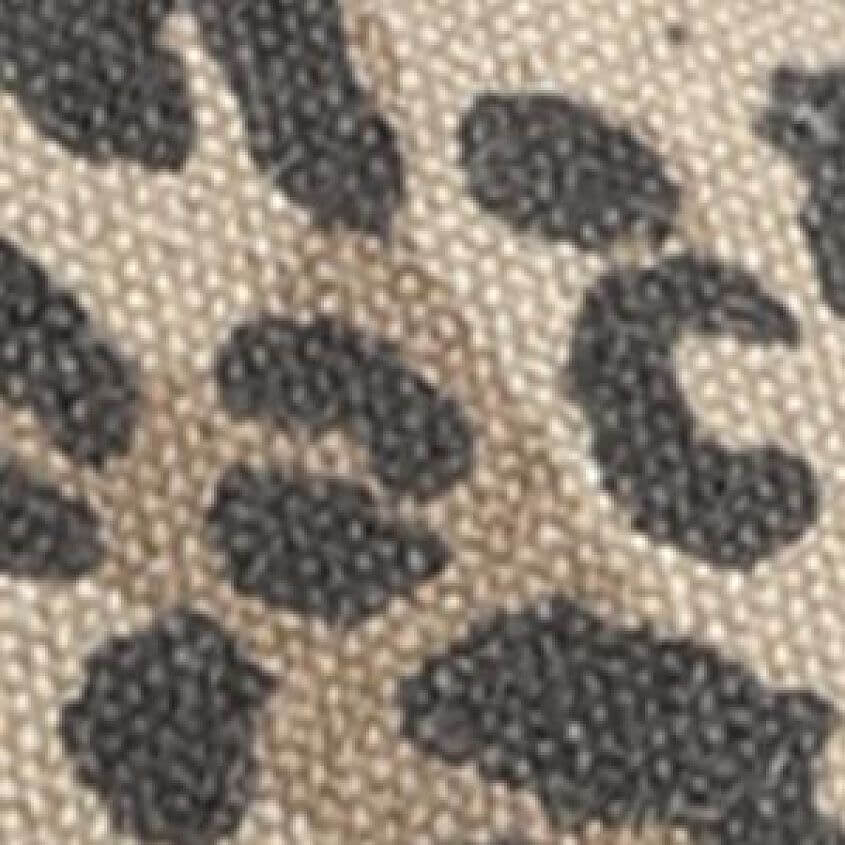 Tan Leopard