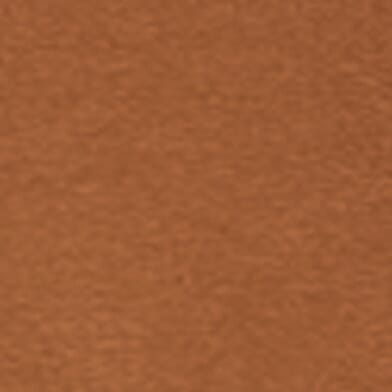 Cacao Nibs