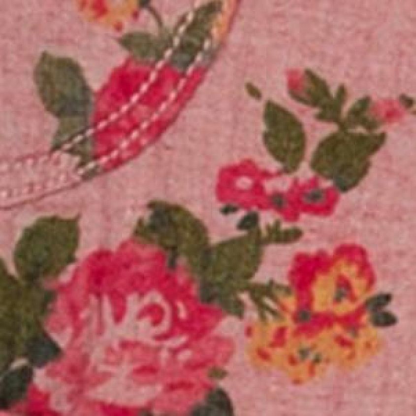 Blush Rose