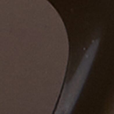 Polished Black Brown Pola