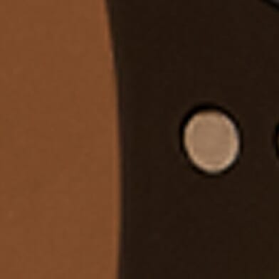 Polished Black Brown Pola