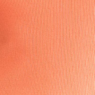 Orange Sorbet