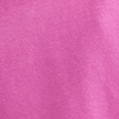 Raspberry Sorbet