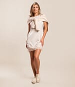 Z Supply Meadow Lace Mini Dress - Women's Dresses in Frosted Pearl
