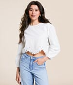 Z Supply Ambroise Cropped Top - Women's Shirts & Blouses in