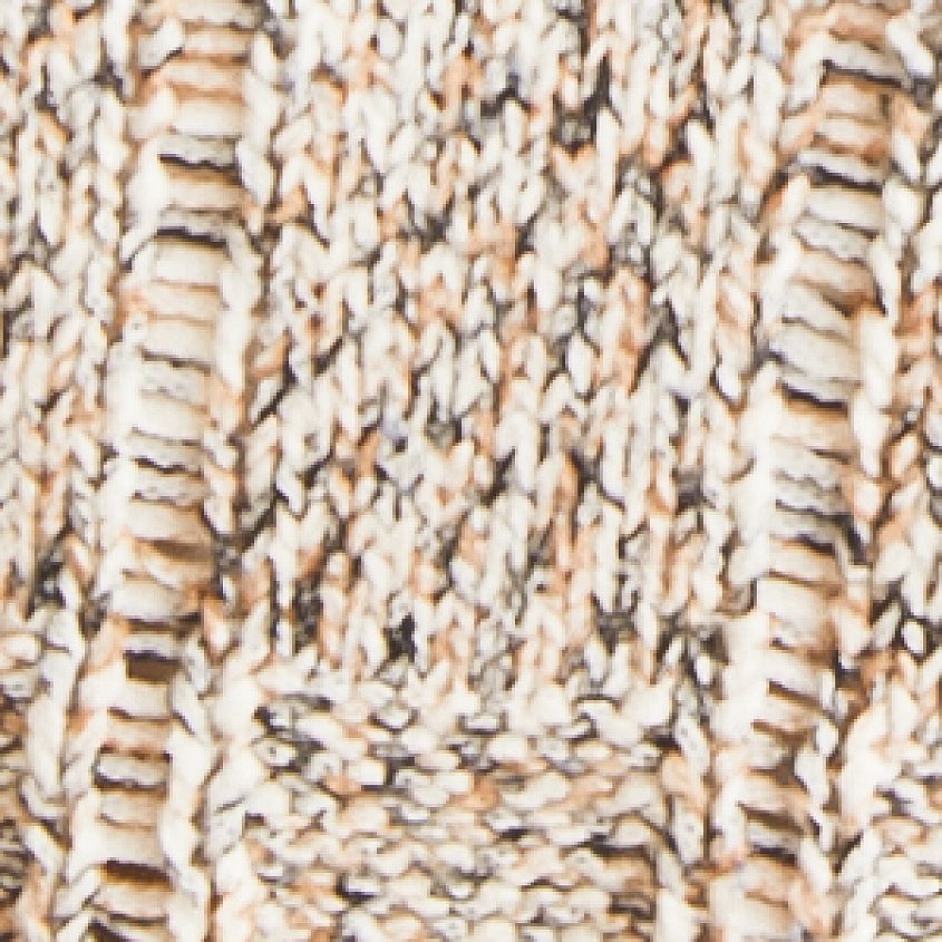 Z Supply Ambrose Sweater - Women's Sweaters in Fossil | Buckle