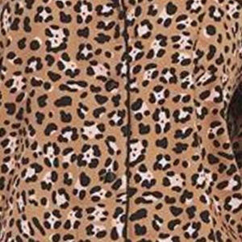 Z Lounge Dream State Leopard Pajama Set - Women's Clothing in