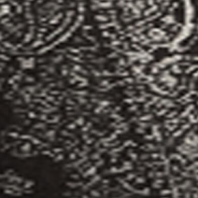 Paisley Baggy Stretch Short thumbnail 7
