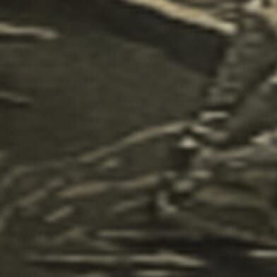 Shellback Tiger Camo